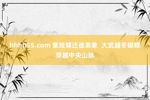hhhh55.com 紫斑蝶迁徙表象  大武越冬蝴蝶穿越中央山脉