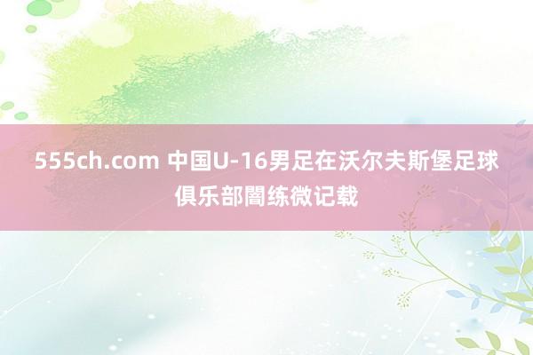 555ch.com 中国U-16男足在沃尔夫斯堡足球俱乐部闇练微记载